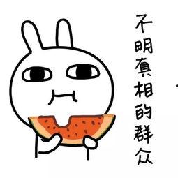 娱乐吃瓜酱喜欢就要争取